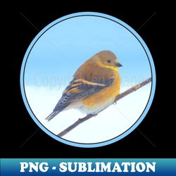Goldfinch - PNG Transparent Sublimation File - Enhance Your Apparel with Stunning Detail
