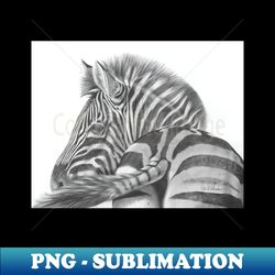 A Watchful Eye - Zebra - Vintage Sublimation PNG Download - Bold & Eye-catching