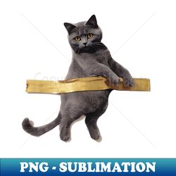 Cute Cat and Tape - Instant Sublimation Digital Download - Instantly Transform Your Sublimation Projects