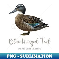Blue-Winged Teal - The Bird Lover Collection - Sublimation-Ready PNG File - Revolutionize Your Designs