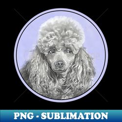 poodle miniature toy silver gray blue - special edition sublimation png file - perfect for personalization