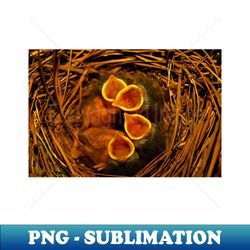 Baby Bluebirds - Exclusive Sublimation Digital File - Perfect for Sublimation Art