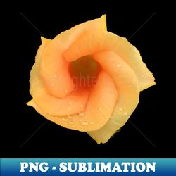 Photo Flower - Professional Sublimation Digital Download - Perfect for Sublimation Art