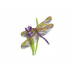 Dragonfly Machine Embroidery Design. 5 Sizes. Insects Embroidery Design