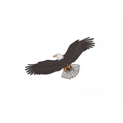 Bald Eagle Machine Embroidery Design. 6 Sizes. Bird Embroidery Design