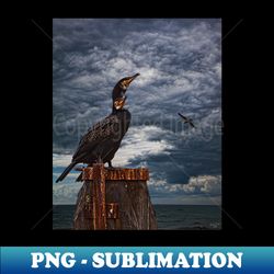 Cormorant Couple - Artistic Sublimation Digital File - Vibrant and Eye-Catching Typography