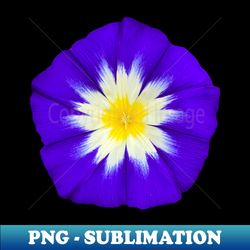 Purple morning glory - Exclusive Sublimation Digital File - Capture Imagination with Every Detail