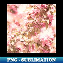 Dark pink apple blossom flowers on tree branches - Aesthetic Sublimation Digital File - Defying the Norms