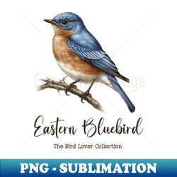 Eastern Bluebird - The Bird Lover Collection - Signature Sublimation PNG File - Unlock Vibrant Sublimation Designs