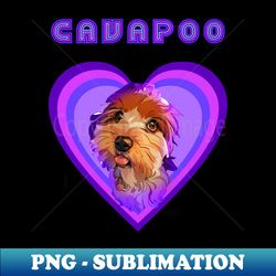Cavapoo love Purple rain - PNG Sublimation Digital Download - Spice Up Your Sublimation Projects