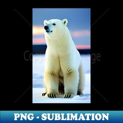 polar bear - png transparent sublimation design - bring your designs to life