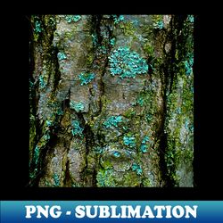tree bark lichen - stylish sublimation digital download - unlock vibrant sublimation designs