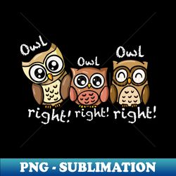 OWL RIGHT OWL RIGHT OWL RIGHT - High-Resolution PNG Sublimation File - Create with Confidence