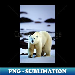 polar bear - png sublimation digital download - fashionable and fearless