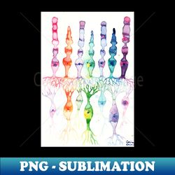 Cone cells rod cells and bipolar neurons in the retina - Digital Sublimation Download File - Enhance Your Apparel with Stunning Detail