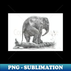 The Little Big Man - Elephant calf pencil drawing - Professional Sublimation Digital Download - Stunning Sublimation Graphics