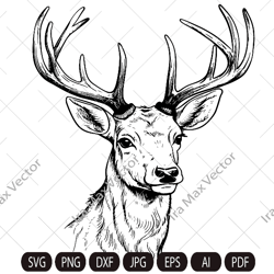 Deer Svg, Deer Head Svg,Deer face, Deer Hunting Svg , Hunting Svg Files, Animals Svg , Deer Silhouette , Deer Clipart, D