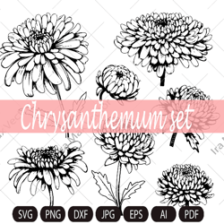Chrysanthemum Clipart/Line Chrysanthemum Clipart/Autumn Flower/Flower Line Art/Floral Clipart/Hand Drawn Flower Clipart/