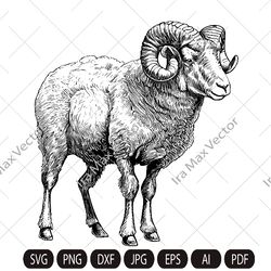 Ram Sheep SVG, Mountain sheep, Farm Animal Graphics Illustration,Ram T-Shirt ,Sheep Printable Clip Art ,Vector Digital
