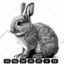 Rabbit SVG, Bunny monogram, easter , hunter svg, peeking animal clipart, face Vector image, bunny Head Print