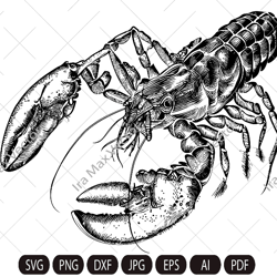 Lobster Svg, Lobster, Sea Food Svg, Sea Svg, Summer Svg, Lobster Clipart, Lobster Cut files, SVG Files