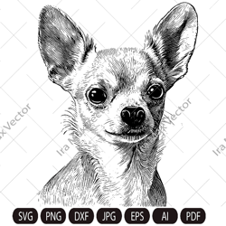 Chihuahua svg, smiling chihuahua, dog svg ClipArt, breed, head, Dog face vector, Memorial love, Download, printable art,