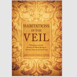 Habitations of the Veil: Metaphor and the Poetics of Black Being in African American Literature eBook e-book