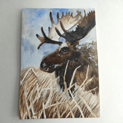 Elk painting original watercolor art bird artwork wildlife art