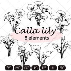 Calla Lily SVG, Callas Flower SVG Bundle, Calla Bouquet Eps, Wedding Invitation Flowers, Silhouet