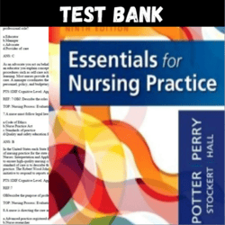 Latest 2023 Essentials for Nursing Practice 9th Edition Potter Perry Test bank | All Chapters