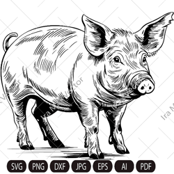Pig Svg,Pig face, Piglet Head, Pig Silhouette, Pig detailed, Farm Animals Silhouette