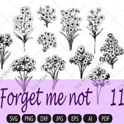 Forget-me-not Flower, Forget-me-not svg,hand drawn floral illustrations. Set of svg, ai and png clipart files, digital