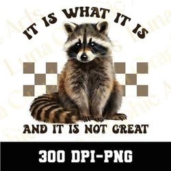 It Is What It Is And It Is Not Great PNG, Funny Raccoon PNG, Raccoon Meme Png, Racoon Png, Sarcastic Saying Png, Trendin