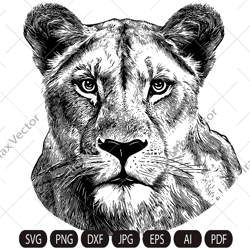 Lioness head SVG, Lion face Svg, Wild cat Svg, Lion silhouette, Lioness portrait Svg, wild Lioness Svg, Svg cut file, Li
