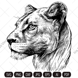 Lioness head SVG, Lion face Svg, Wild cat Svg, Lion silhouette, wild Lioness Svg, Lioness clipart, Lioness detailed port