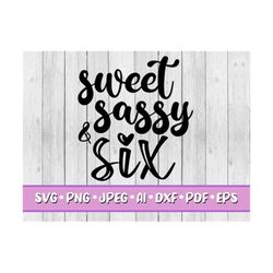 Sweet Sassy & Six SVG, Digital Download, Svg, Png, Jpeg, Dxf, Eps, Ai, PDF, Six, Party, Printable, 6th Birthday, Girl, Sixth, Sassy, Sweet