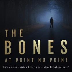 The Bones at Point No Point (A Thomas Austin Crime Thriller Book 1) by D.D. Black