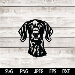 German Shorthaired Pointer SVG Car Decal T-shirt PNG SVG