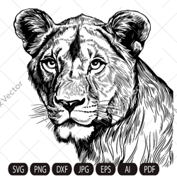 Lioness head SVG, Lioness Face svg, Lion face Svg, Wild cat Svg, Lion silhouette, Lioness