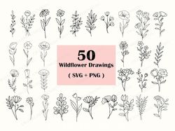 50 Wildflower Svg Bundle, Flower svg, Floral svg Bundle, Wildflower svg, Floral svg, Botanical svg, Flower Tattoo, D