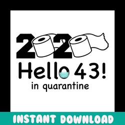 2020 hello 43 in quarantine svg, birthday svg, quarantine birthday svg, hello 43 svg, birthday 43 svg, 43th birthday svg
