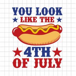 You Look Like the 4th Of July SVG, Hot dog funny SVG, 4th of July SVG, Fourth of July funny svg, America fourth of july