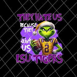 They Hate Us Because They Aint Us LSU Tigers PNG