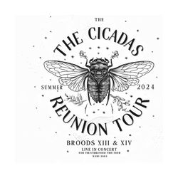 The Cicada Reunion Tour Concert 2024 Brood XIII XIX PNG