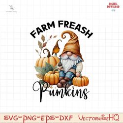 Farm freash pumkins PNG file, tis the season Fall Gnomes png