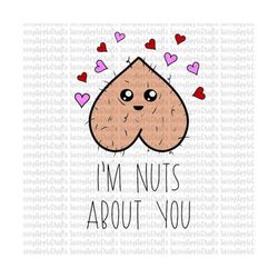 Nuts about you png file, digital download, png jpg file, Valentines Day card Clipart, funny design, sublimation, tshirt,