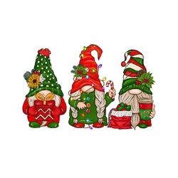 Funny Gnomes Merry Christmas PNG
