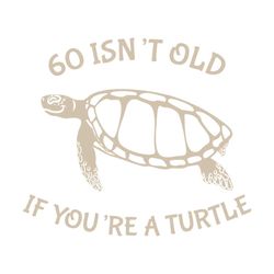 60 Isn't Old if You're a Turtle