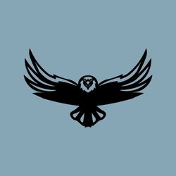 Hawks svg, Hawk svg mascot, Hawk png Digital Download, SVG Cut File,