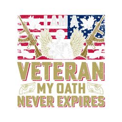 I Am a Veteran Soldier TShirt Graphic